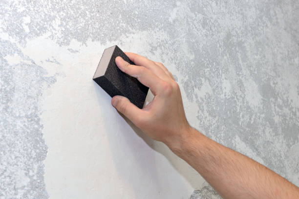 Best Airborne Mold Testing  in Galesville, MD