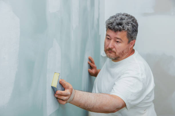 Best Mold Damage Restoration  in Galesville, MD