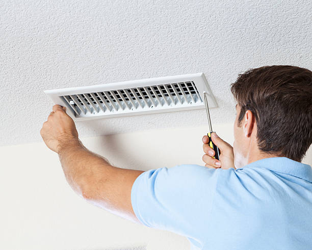 Best Mold-Related Health Consultation  in Galesville, MD