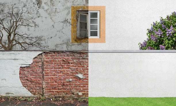 Best Forensic Mold Investigation  in Galesville, MD