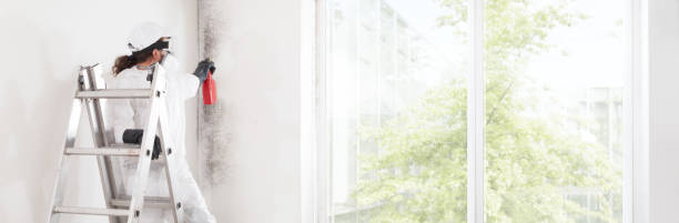 Mold Removal for HVAC Installations in Galesville, MD