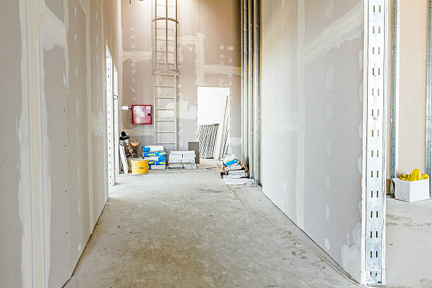 Best Mold Documentation for Insurance Claims  in Galesville, MD