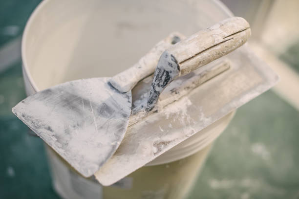 Best Black Mold Removal  in Galesville, MD